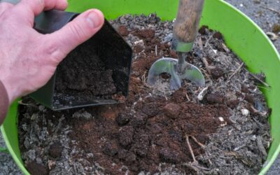 Planet Mirt’s Guide to Composting Tea Bags & Coffee Grounds: Boost Your Pile with Caffeine Power ☕🍃