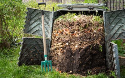 Planet Mirt’s Guide to Troubleshooting Your Compost: Solutions for Every Problem 🌱🔧