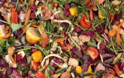 Planet Mirt’s Guide to What Can and Can’t Be Composted: Waste Less, Compost More ♻️🌿