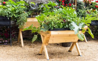 Planet Mirt’s Guide to Container Gardening for Beginners: Grow More, Anywhere 🌱🌞