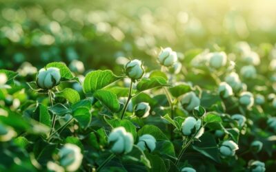 Planet Mirt’s Guide to Eco-Friendly Fabrics: Sustainable Choices for a Greener Wardrobe 🌱👚