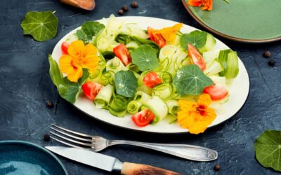 Planet Mirt’s Guide to Edible Flowers: A Beautiful, Delicious Addition to Your Garden 🌸🍽️
