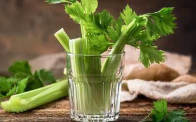 Planet Mirt’s Guide to Regrowing Veggies from Scraps: Fresh Food, No Extra Cost 🥕🌱