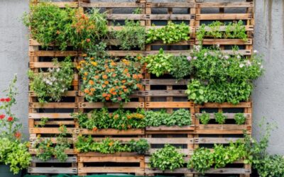Planet Mirt’s Guide to DIY Vertical Gardens: Grow More in Less Space 🌱🌿