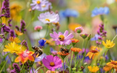 Planet Mirt’s Guide to Creating a Pollinator Garden: Attract Bees & Butterflies 🐝🌸